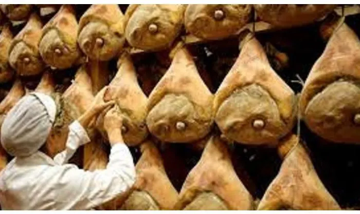 Bed & Breakfast Elizabeth