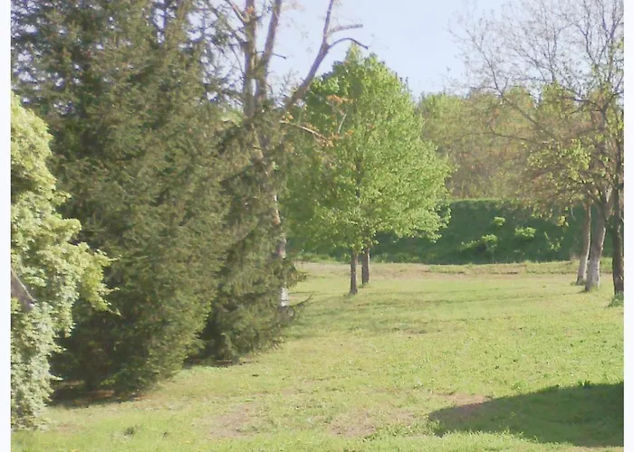 Elizabeth 3* Lentigione