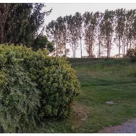 Elizabeth Lentigione