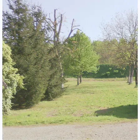 Elizabeth 3* Lentigione